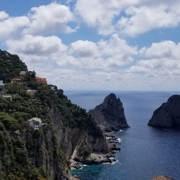 Meet your Posher, Berniz - Picture 1 of 1